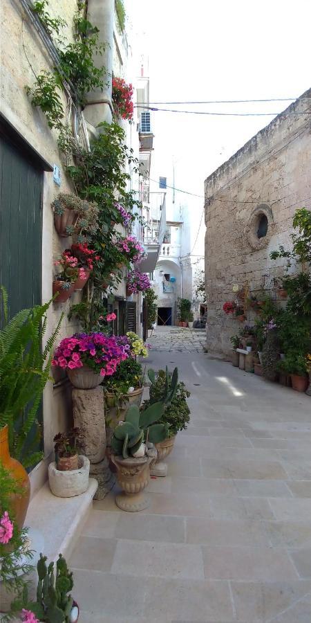 My Monopoli- Casa Dei Fiori "Orchidea" Centro Storico 호텔 외부 사진